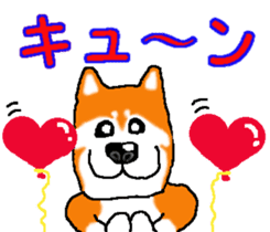 Shiba inu MOMO chan the third as well! 2 sticker #7082543