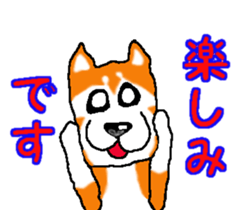 Shiba inu MOMO chan the third as well! 2 sticker #7082545