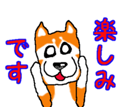 Shiba inu MOMO chan the third as well! 2 sticker #7082545