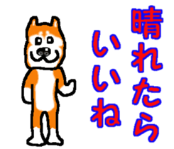 Shiba inu MOMO chan the third as well! 2 sticker #7082550