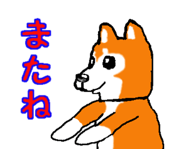 Shiba inu MOMO chan the third as well! 2 sticker #7082553