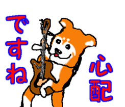 Shiba inu MOMO chan the third as well! 2 sticker #7082554