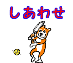 Shiba inu MOMO chan the third as well! 2 sticker #7082556