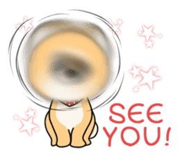 Cute! Shiba inu!!(Japanese Shiba dog) sticker #7082763