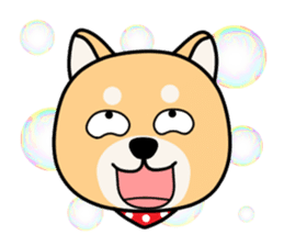 Cute! Shiba inu!!(Japanese Shiba dog) sticker #7082773