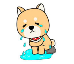 Cute! Shiba inu!!(Japanese Shiba dog) sticker #7082791