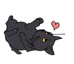 Of black cat Gee sticker #7084323