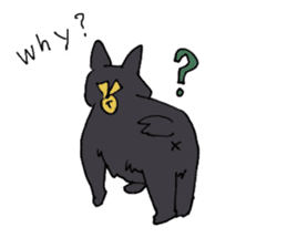 Of black cat Gee sticker #7084325