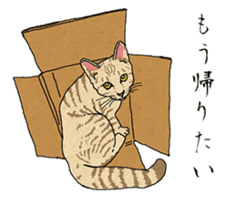 The cat which doesn't want to work sticker #7085121