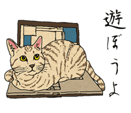 The cat which doesn't want to work sticker #7085122