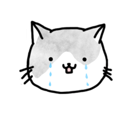 Black-and-whitecat,coro sticker #7085166