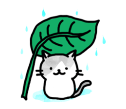 Black-and-whitecat,coro sticker #7085185