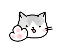 Black-and-whitecat,coro sticker #7085190