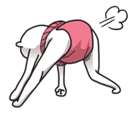 white sumo bear sticker #7088517