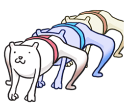 white sumo bear sticker #7088519