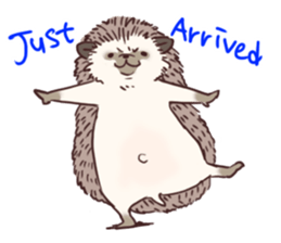 Hedgehog of polite chat (English ver.) sticker #7088655