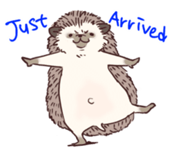Hedgehog of polite chat (English ver.) sticker #7088655