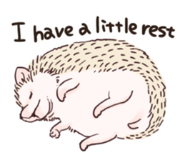 Hedgehog of polite chat (English ver.) sticker #7088669