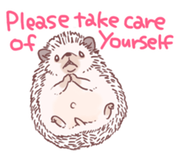 Hedgehog of polite chat (English ver.) sticker #7088674