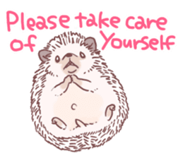 Hedgehog of polite chat (English ver.) sticker #7088674