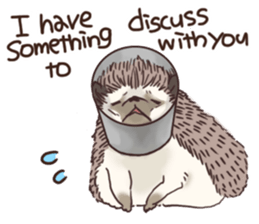 Hedgehog of polite chat (English ver.) sticker #7088676