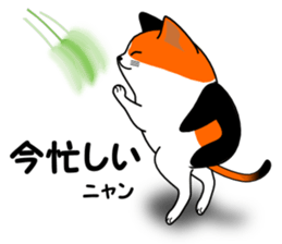 A calico cat in Parutom-town sticker #7088820