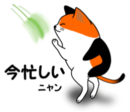 A calico cat in Parutom-town sticker #7088820