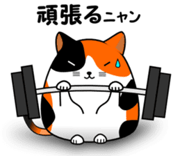 A calico cat in Parutom-town sticker #7088825