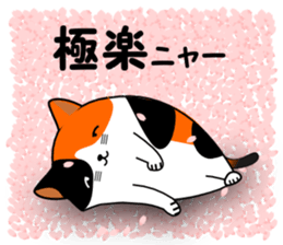A calico cat in Parutom-town sticker #7088826