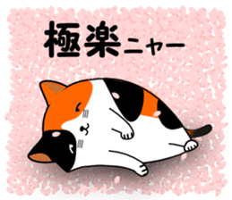 A calico cat in Parutom-town sticker #7088826