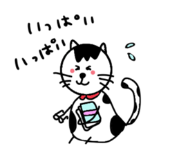 White cat and White fruit from Okinawa. sticker #7089481