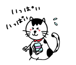 White cat and White fruit from Okinawa. sticker #7089481