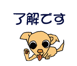 Chihua-tan of chihuahua sticker #7089579