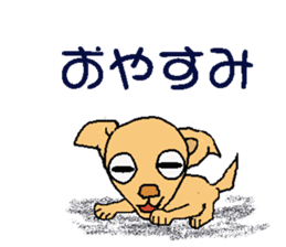 Chihua-tan of chihuahua sticker #7089580