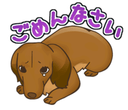 I Love Dachshund sticker #7089803