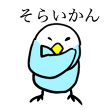 kumamoto bird sticker #7091762