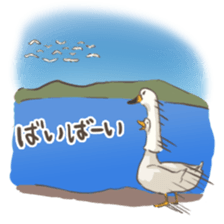 Funny Ducks 4th sticker #7092729