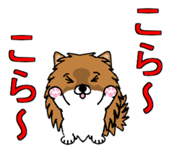 I LOVE POMERANIAN sticker #7093147