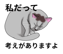 Lazy cat sticker sticker #7093967