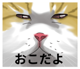 Lazy cat sticker sticker #7093973