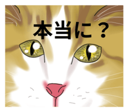 Lazy cat sticker sticker #7093974