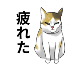 Lazy cat sticker sticker #7093994