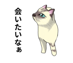 Lazy cat sticker sticker #7093997