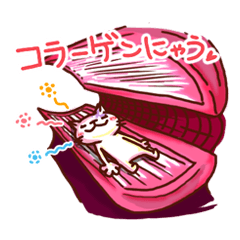 the pad of cat @ holistic