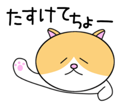 Cat of Nagoya sticker #7097227