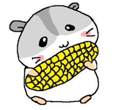 The hamster 2 sticker #7097482