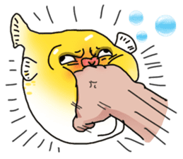 Yellow boxfish sticker #7100638