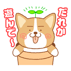 RR܂B̂`X