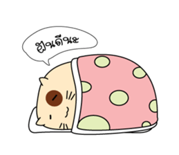 Caramel : The fun cat sticker #7102561