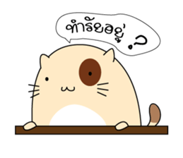 Caramel : The fun cat sticker #7102562